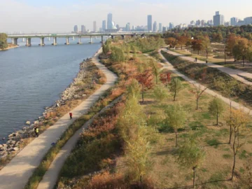 Yanghwa Riverfront พื้นที่ธรรมชาติริมน้ำที่โซลไม่เคยมี และวิธีที่ชองกเยชอนไม่ได้ทำ
