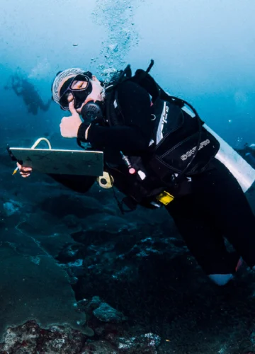 เต้ ปิติรัตน์ ผู้ใช้ Dive Slate ขนาด A4 และดินสอไม้ ดำดิ่งลงไปวาดภาพชีวิตใต้ท้องทะเล