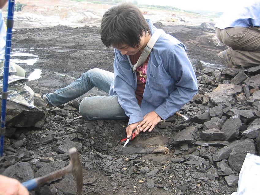 Dom Paleoworld เพจเนิร์ดไดโนเสาร์ผู้คนพบสัตว์ 3 สายพันธุ์ใหม่ของโลกตั้งแต่อายุ 24