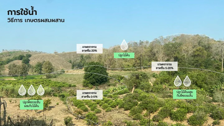 Refield Lab นักวางผังภูมินิเวศที่เชื่อว่าคุณภาพชีวิตคนดีขึ้นได้ด้วยพลังแห่งการรีเสิร์ช