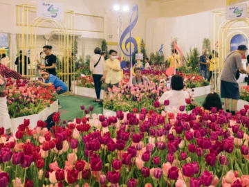 4 ไฮไลต์งานพรรณไม้งามอร่ามสวนหลวง ร.๙ พ.ศ. 2566 พร้อมเคล็ดลับเดินงานให้สนุกจากคนย่านนี้