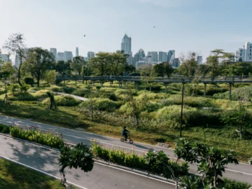 ออกแบบความรู้สึกคนเดินถนนด้วย Neurourbanism ศาสตร์แห่งอนาคตที่ทุกข์สุขชั่งตวงวัดได้
