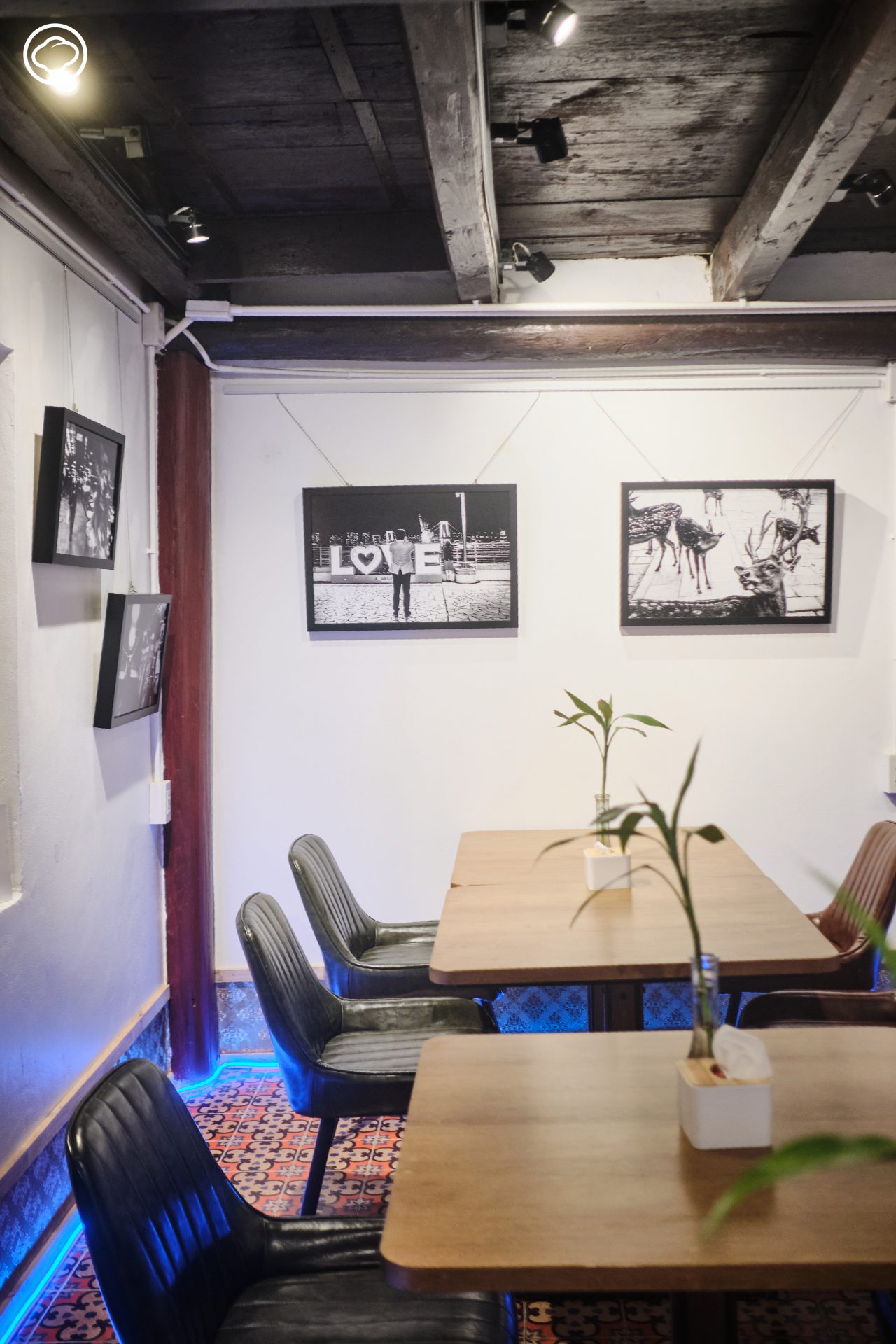 Photohostel เกสต์เฮาส์ของช่างภาพเนเธอร์แลนด์ที่ย้ายประเทศมาสอนให้เด็กไทยรักการถ่ายภาพ