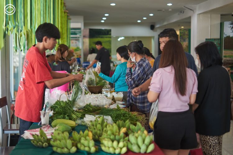 20 สถานที่สนุกน่าไปเบิ่ง จ.อุบลราชธานี เมืองที่ผู้คนอยู่กับความเปลี่ยนแปลงทางธรรมชาติ