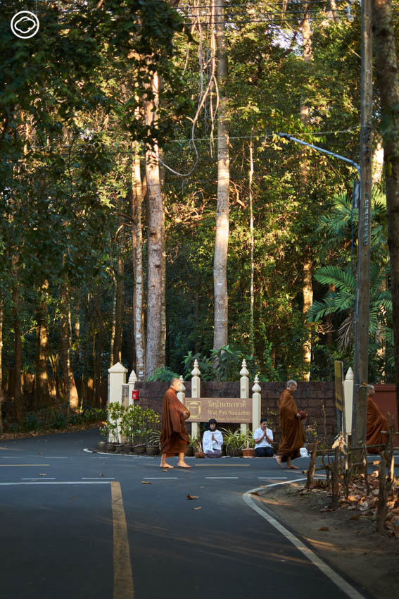 20 สถานที่สนุกน่าไปเบิ่ง จ.อุบลราชธานี เมืองที่ผู้คนอยู่กับความเปลี่ยนแปลงทางธรรมชาติ