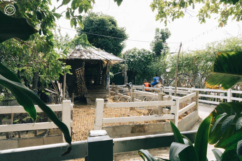 มัดรวม 20 สถานที่เที่ยวเสริมสร้างสุขภาวะใน จ. นนทบุรี ตั้งแต่วัด สวนออร์แกนิก ตลาดชาวบ้าน จนถึงบ้านศิลปินดัง