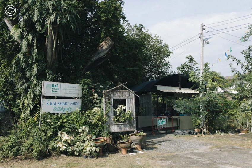 มัดรวม 20 สถานที่เที่ยวเสริมสร้างสุขภาวะใน จ. นนทบุรี ตั้งแต่วัด สวนออร์แกนิก ตลาดชาวบ้าน จนถึงบ้านศิลปินดัง