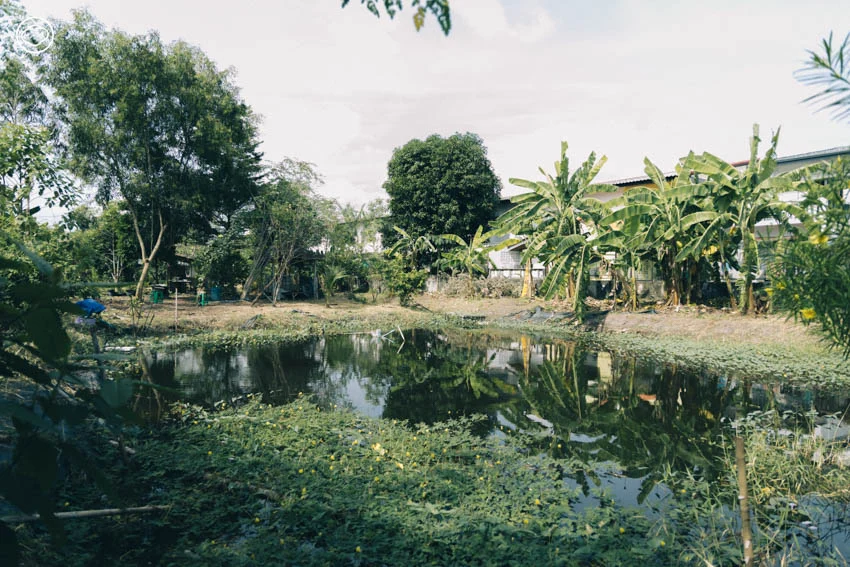 มัดรวม 20 สถานที่เที่ยวเสริมสร้างสุขภาวะใน จ. นนทบุรี ตั้งแต่วัด สวนออร์แกนิก ตลาดชาวบ้าน จนถึงบ้านศิลปินดัง