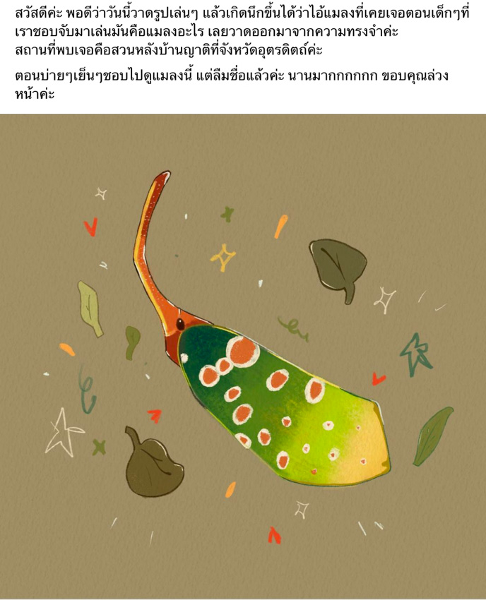 ‘นี่ตัวอะไร’ กลุ่มความรู้ของคนขี้สงสัยที่ตอบได้ตั้งแต่ภาพวาด สิ่งมีชีวิต จนถึงฟอสซิล