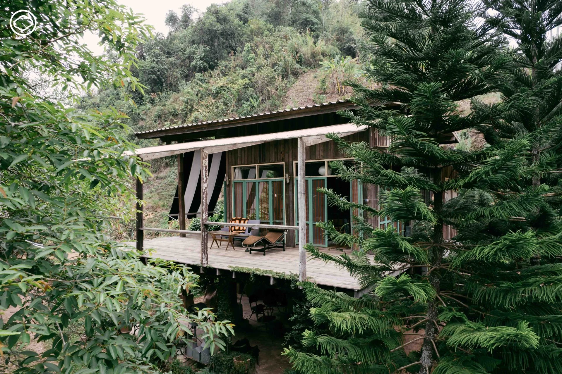Forest Forest โฮมสเตย์ของสาวที่อยากเกษียณในวัย 23 เปิดให้คนมาใช้ชีวิตแบบ Little Forest ในป่าน่าน