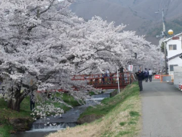 เยือน Fukushima เมืองรองของญี่ปุ่น จังหวัดที่มีภูมิประเทศหลากหลาย และเหมาะสำหรับตามล่าหาซากุระจริงจัง