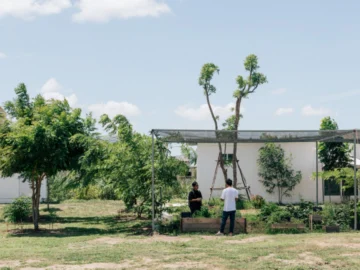 The Farm Concept ที่ร้างแบริ่งสู่ Urban Farm นานาสมุนไพรที่สร้างความมั่นคงทางอาหารให้เมือง