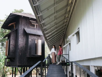 บ้านยาว 72 เมตรและสวนกินได้ของโทนี่-แก้ว สายแฟที่ลองเนิร์ดวิชาธรรมชาติเพราะรักชีวิต