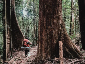 Fjällräven Thailand : Betong Hike เส้นทางเดินป่าใต้สุดของไทยที่ไร้ทางเรียบ
