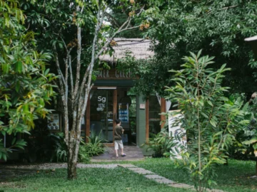 สวนป้าเรียน-Summer Green สวนผลไม้ที่ต่อยอดทุเรียนลับแลเป็นคาเฟ่คนรักทุกเรียน จ.อุตรดิตถ์