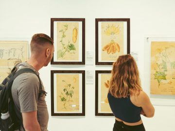 เบื้องหลัง 9 ภาพไฮไลต์ใน Botanical Art Worldwide ตั้งแต่ภาพวาดโบราณสมัย ร.6 ถึงปัจจุบัน