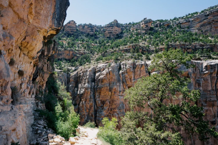 การเปลี่ยนผ่านตลอด 4 เดือนใน Grand Canyon หุบเขามหัศจรรย์ที่ไม่เคยหลับใหล