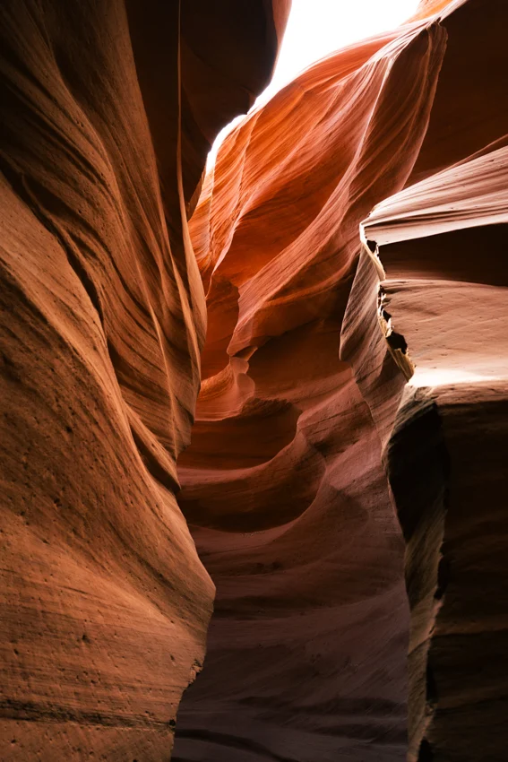 การเปลี่ยนผ่านตลอด 4 เดือนใน Grand Canyon หุบเขามหัศจรรย์ที่ไม่เคยหลับใหล